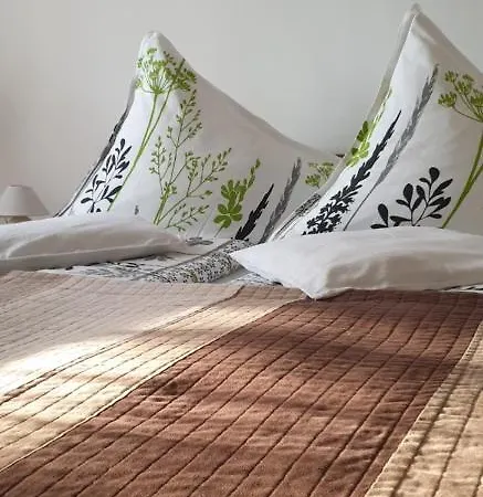 Topart Guest house 2*