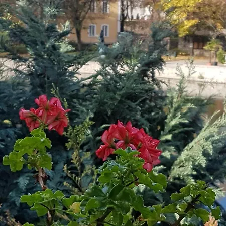 Guest house Topart Tapolca