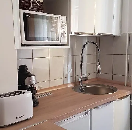 Topart Pensiune 4*